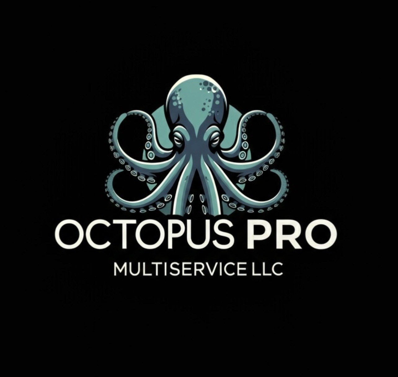 Octopus Pro Multiservices LLC